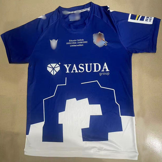 Camiseta Real Sociedad Especial 24-25